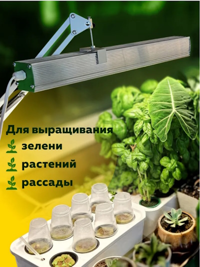 Гидропонная ферма