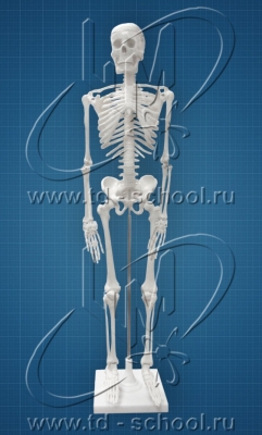   85 