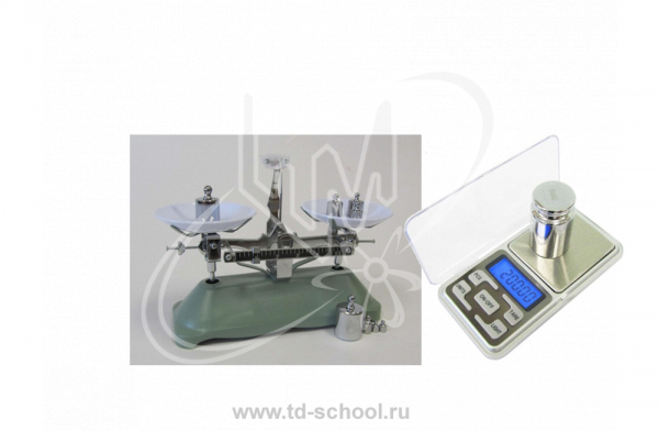 ���� (����������� � �������� � �����������)